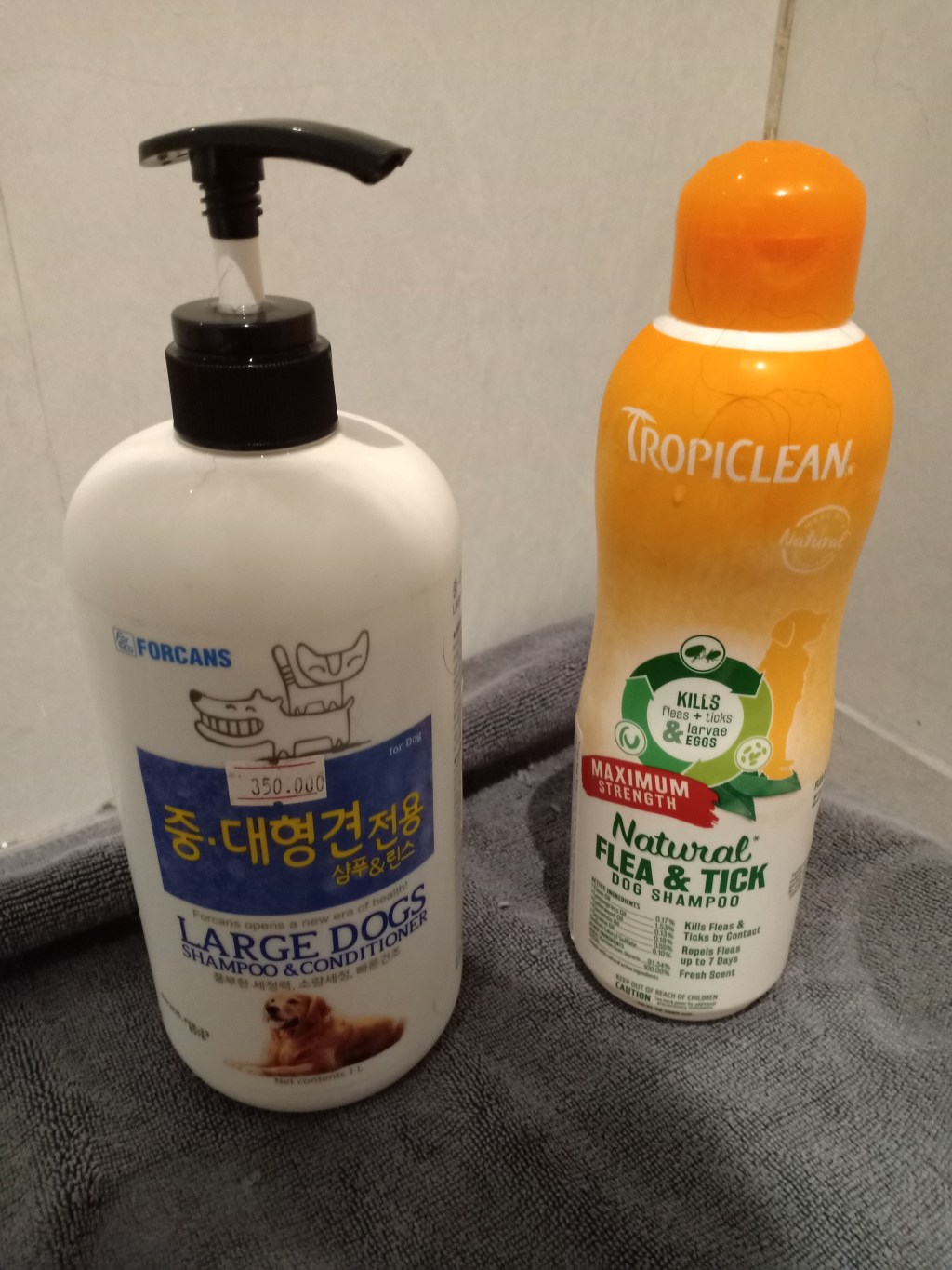 愛犬のノミ・マダニ対策